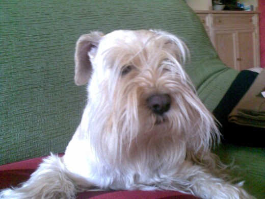 esto k la vi tan maja a mi gordiiiii esto k la vi tan maja a mi gordiiiii